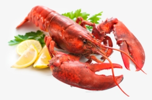 Lobster Png #4148048