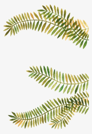 Fir Branch Png #4148192