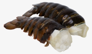 Lobster Tails Homarus Americanus / Cervimunida Johni - American Lobster #4148260
