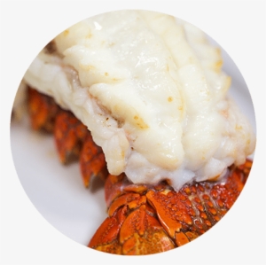Cold Water Lobster Tail - Christner's Prime Steak & Lobster #4148381