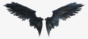 Raven Crow Wings Freetoedit - 悪魔 の 翼 イラスト #4148939