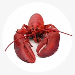 Welcome To Fresh Catch #4148988