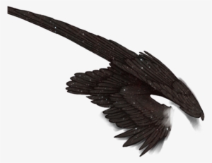 Bald Eagle #4149130 Bald Eagle #4149130