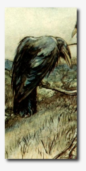 Grey Down Caught In The Bristles Around The Raven's - Trilogy Of Terror (annotated) #4149257