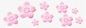 Pink Flower Aesthetic Png #4150336