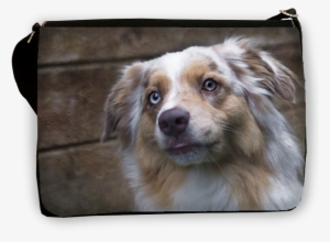 Australian Shepherd, Shoulderbag Large - Australian Shepherd #4150573