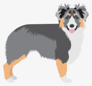 Share This - - English Shepherd #4150803