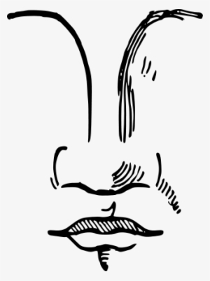 Nose Png File - Nose #4150882 Nose Png File - Nose #4150882
