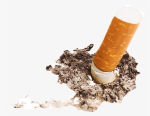 Nicotine-testing #4151170