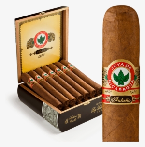 Joya De Nicaragua Antano - Sujuk #4151617