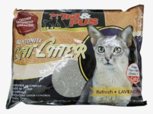 More Views - Litter Box #4151664