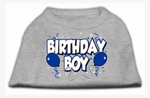 Birthday Boy Screen Print Shirts Grey - Mirage Pet Products 10-inch Birthday Boy Screen Print #4152329