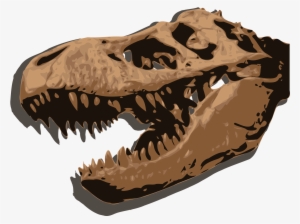 Open - Tyrannosaurus Rex #4152440