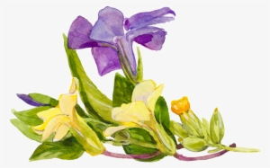Purple Cartoon Trumpet Flower Watercolor Transparent - Watercolor Painting #4152621