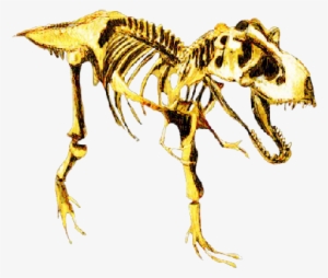Histologic Analysis Of Tyrannosaurus Rex Bones Showed - Glogster #4152661