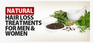 11 Herbal Remedies To Grow Hair Back On Balding Forehead - Natural Hair Loss Treatment #4153474