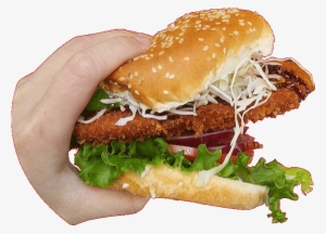Chicken Katsu Burger - Buffalo Burger #4155279