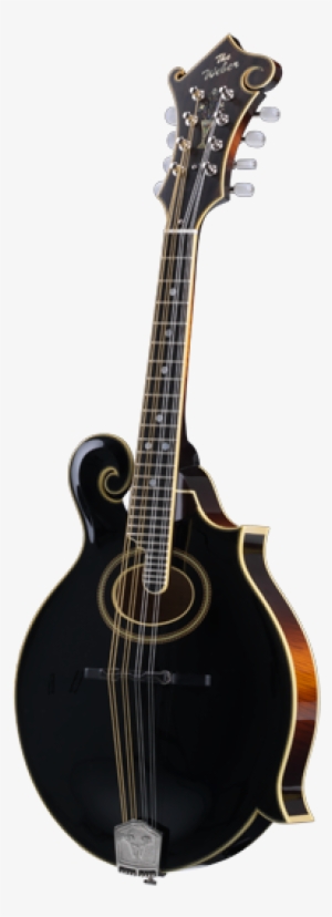 Gibson 1905 #4156401