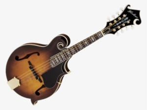 Ibanez Iceman #4156454