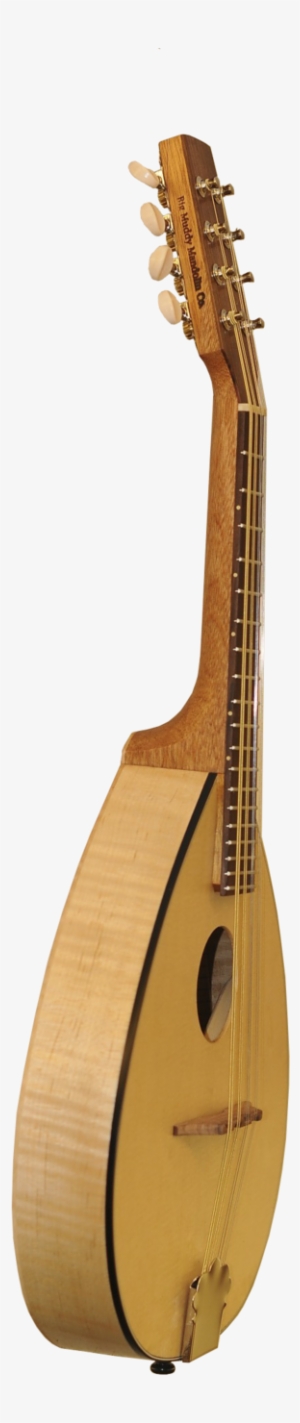Mandolin Png #4156691
