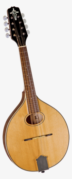 Trinity College Flat Top Mandolin - Trinity College Tm-250 Standard Celtic Mandolin #4156769