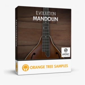 Evolution® Mandolin - Orange Tree Samples Evolution Rock Standard #4156831