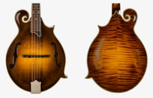 Heiden Stringed Instruments F-style Artist Mandolin - Heiden Mandolin #4157003