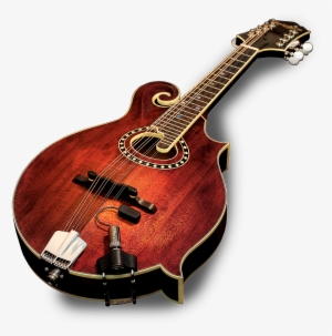 Lr Baggs Radius Transducer Pickup For Mandolin - Lr Baggs Radius M Mandolin Pickup With External Jack #4157144