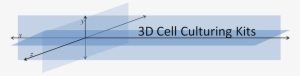 3d Cell Culture #4157532