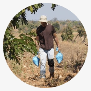 Parasitic Weed - Gardener #4157576