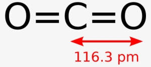Carbon Dioxide Bond #4159213
