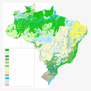 Vegetação Do Brasil - Mapa Da Vegetação Do Brasil #4159459