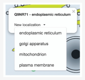 Protein Information Box - Feature Phone #4159563