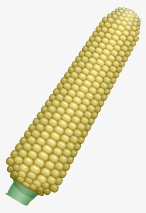 Ear Of Corn Vector Clipart Image - Maize #4160198