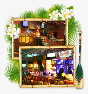 For South Pasadena City Permit Information, Please - Canoe House #4160228