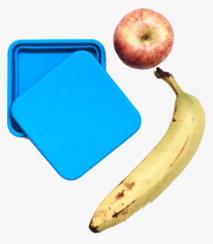 Blue Box Top - Lunch #4160367