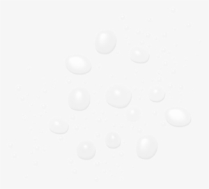 Pai Rice Plant & Rosemary Bioaffinity Toner - Pai Rice Plant & Rosemary Bioaffinity Tonic #4160648