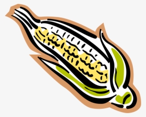 Vector Illustration Of Corn On The Cob Grain Plant - Maize #4160734