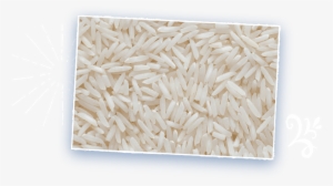 Rice - Dream #4160880