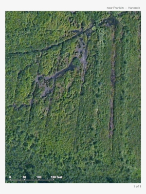 Paavola Wetlands - Grass #4161982