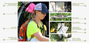 Delineator Items - Backpacking #4162065 Delineator Items - Backpacking #4162065