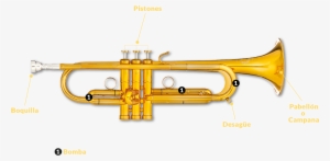 Hay Dos Tipos De Trompetas Que Veréis En El Espectáculo, - B&s Mbx2-gl. Trompeta En Si B #4162905