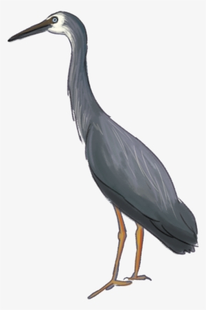 Heron Download Png Image - Drawing #4163096