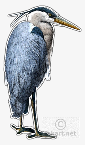 Great Blue Heron Decal - Great Blue Heron Invitations #4163251