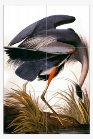Haymarket Tiles - Blue Heron - Birds Of America John James Audubon #4163508