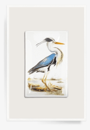 William Macgillivray Creatures Of Air Land And Sea #4163666