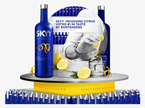 Skyy Barcraft Margarita Lime Vodka - 750 Ml Bottle #4164668