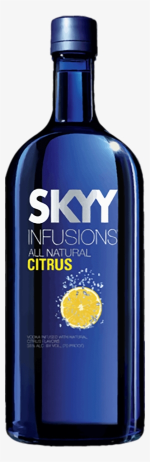 Skyy Vodka 1.75 L #4165218