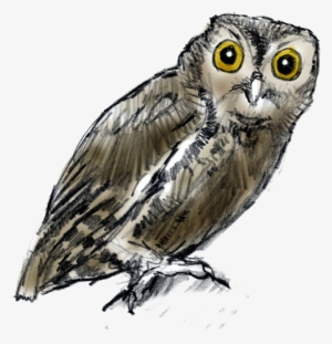 Not All Owls Hoot The Screech Owl, The Most Common - Nature #4165681