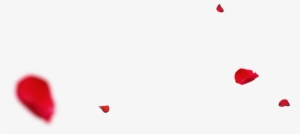 His Divine Eminence Lord Rariaz Gohar Shahi - One Rose Petal Png #4166340